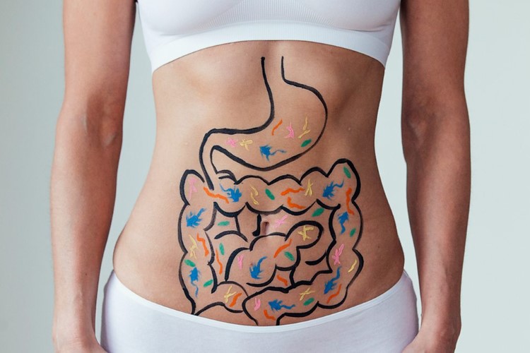 Hrana kao lijek: što jesti za ravnotežu u crijevima